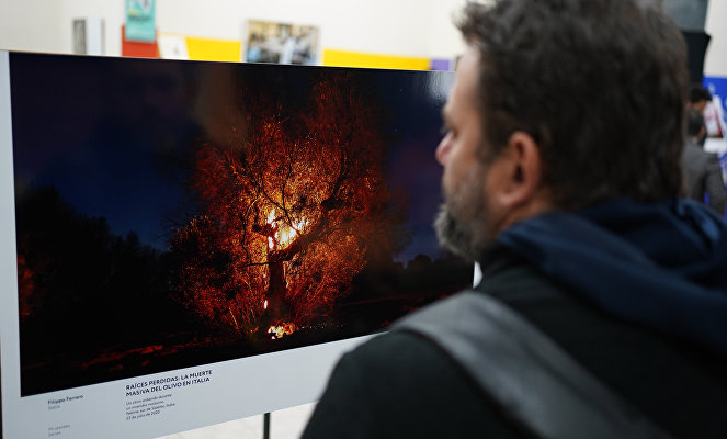 Stenin Contest exhibition opens in San Juan, Argentina