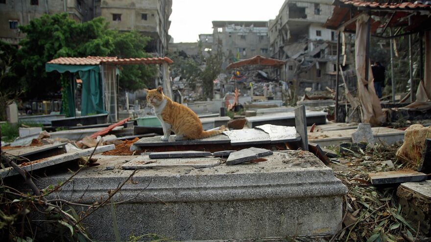 Lebanon, 2024–2025: Life Between Airstrikes