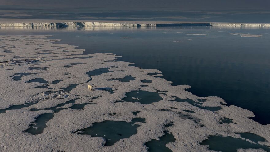 No Plan B – Our Planet