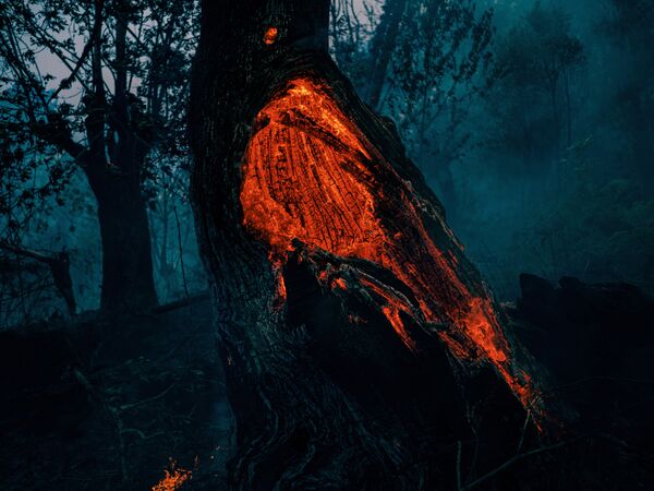 Fire and ashes